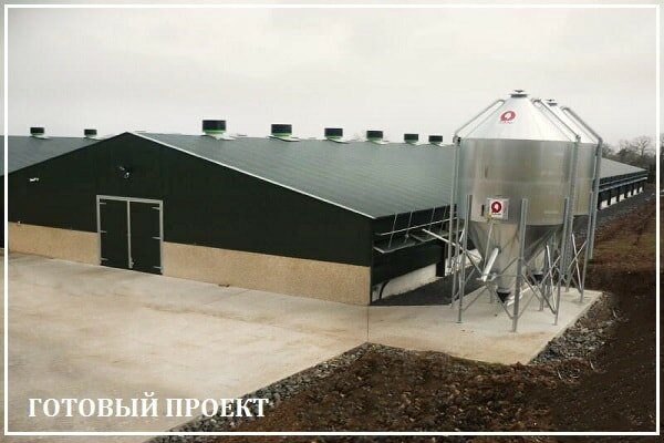Этапы возведения птицефабрики от завода ВелесТент-штр
